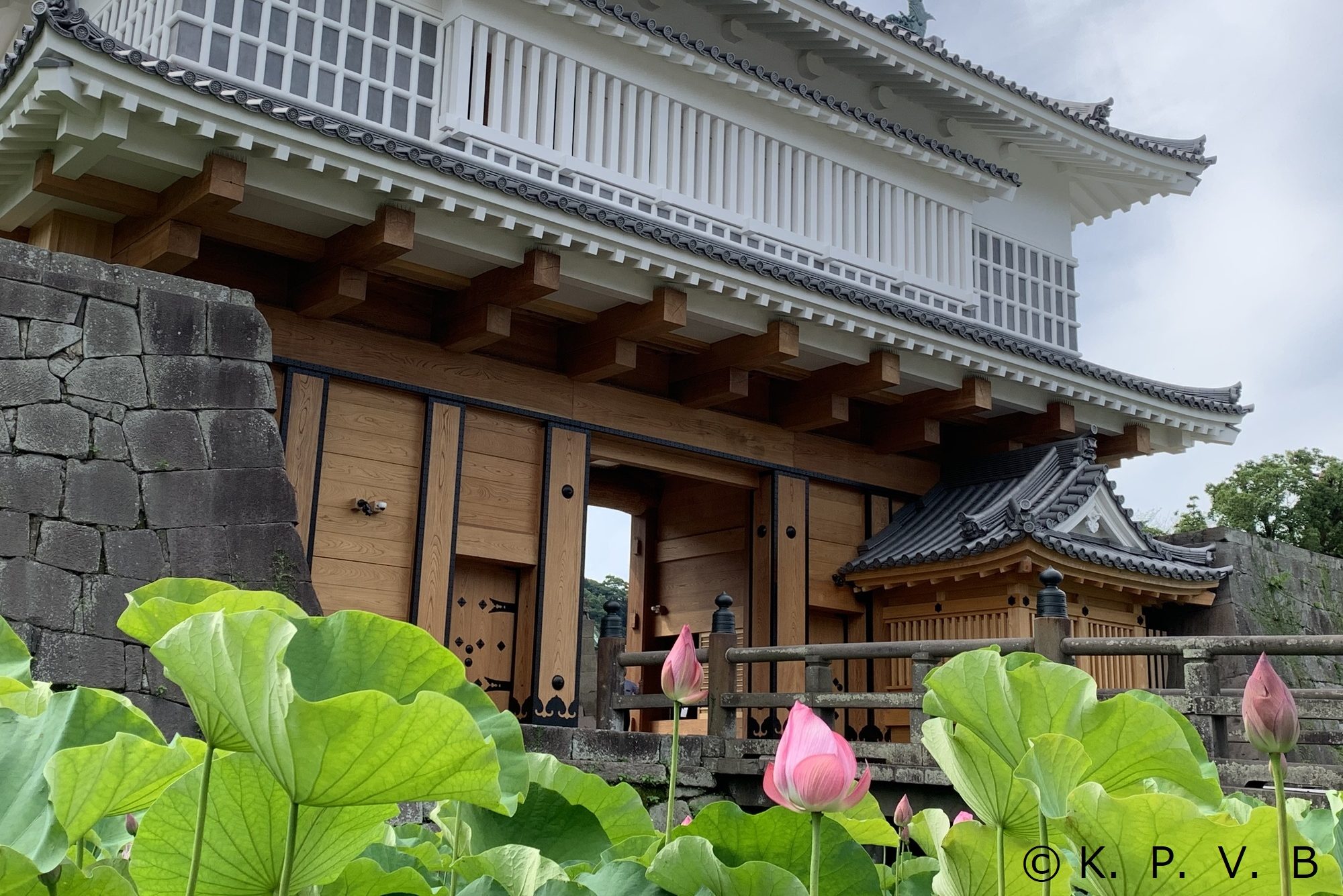鶴丸城跡 鹿児島旅行 Fdaフジドリーム利用のgotoトラベルツアー情報 ラド観光
