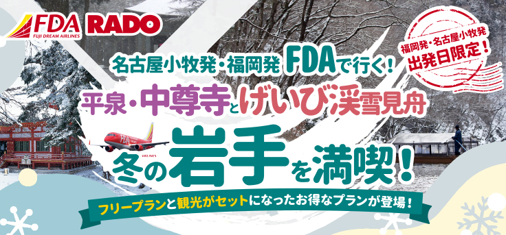 ＦＤＡで行く！名古屋・福岡発冬の岩手 観光バス付ツアー